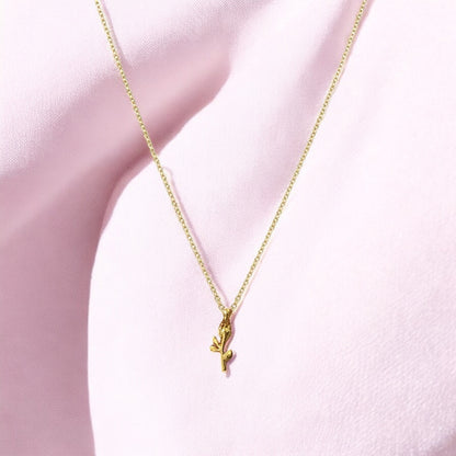 Collar Beauty and the beast + caja