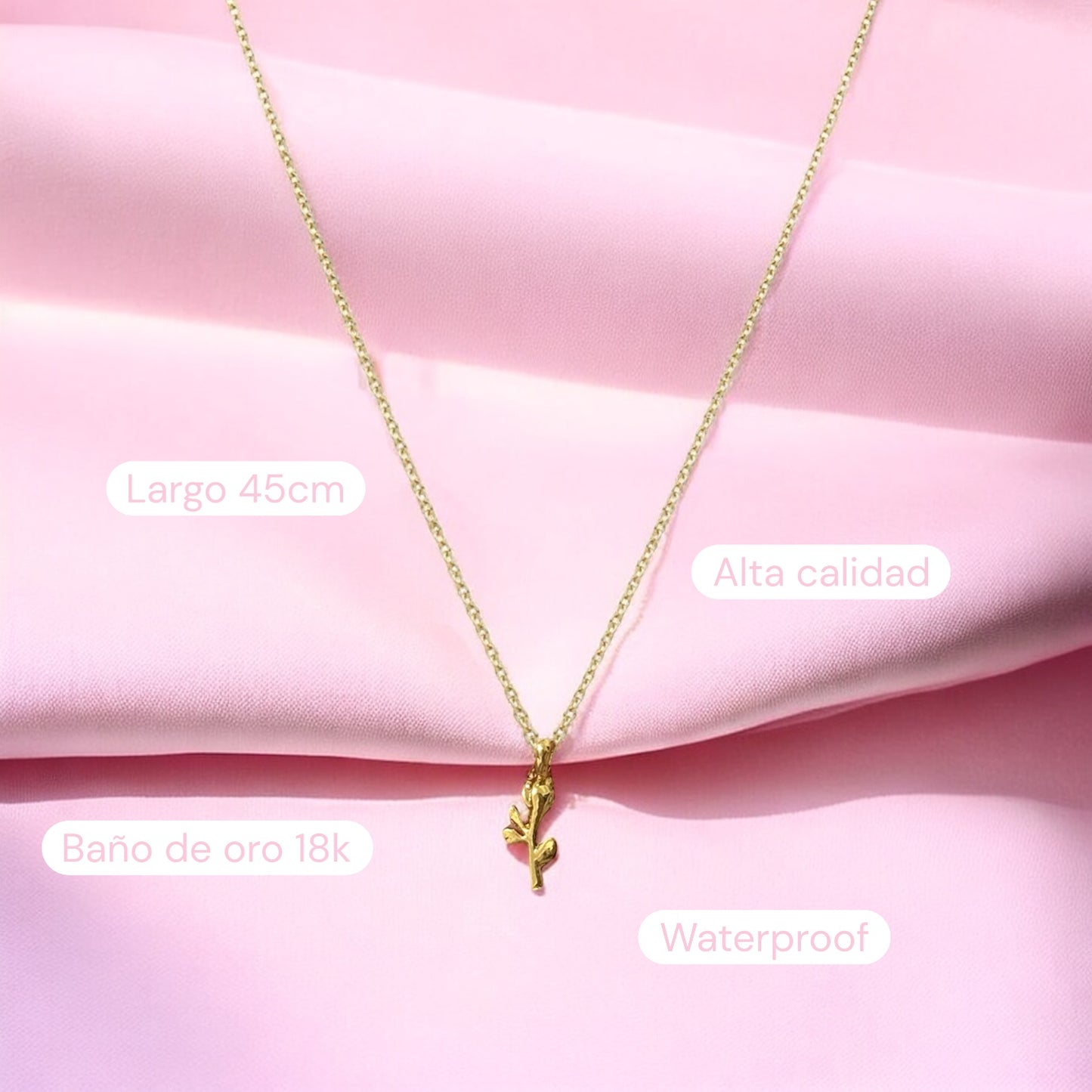 Collar Beauty and the beast + caja