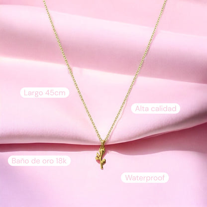 Collar Beauty and the beast + caja